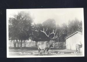 RPPC LAKE ITASCA MINNESOTA PARKVIEW RESORT MOOSE REAL PHOTO POSTCARD