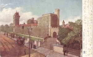 Cardiff. The Castle  Tuck Vierw Series Postcard # 1440