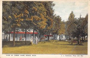 Sodus Michigan Tabor Farm Scenic View Vintage Postcard AA41262