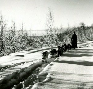 RPPC Dogsled Team Mushing In Alaska AK UNP Postcard Unused Griffin Photo B14