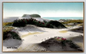 Sand Dunes CA California Fred Martin Hand Colored Gilded Photo Postcard I30