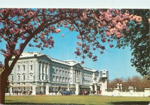 Postkarte London Buckingham Palace