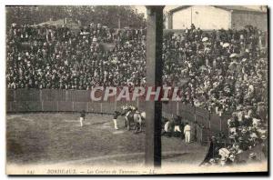 Old Postcard Bullfight Taurus Arenes de Beziers Bullfights