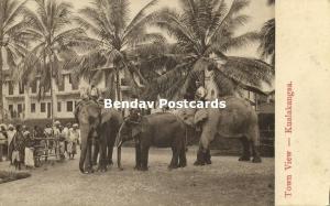 straits, Malay Malaysia, KUALA KANGSAR, Perak, Elephants (1910s) Postcard