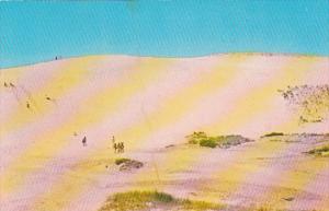 Massachusetts Cape Cod National Seashore Playing On The Dunes 1973