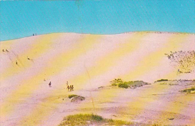 Massachusetts Cape Cod National Seashore Playing On The Dunes 1973