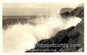 Real Photo - Sea Lion Caves - Misc, Oregon OR  