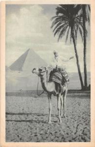 BF36142 the king of the desert egypt  front/back scan