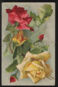 3101505 Ruby & Yellow ROSES w/ Dew by C. KLEIN Vintage color PC