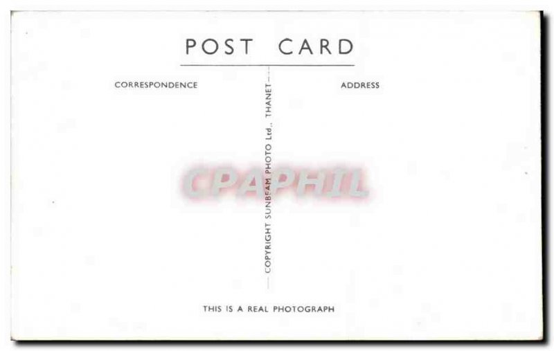 Postcard Modern Colobus Monkeys Monkeys