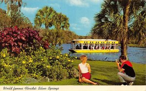 World Famous Florida's Silver Springs Silver Springs, Florida USA