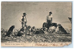 1907 Huskies of the Yukon Yukon Territory Canada Antique Posted Postcard