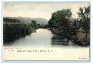 c1905 Windham Creek Catskill Mountains New York NY Unposted Rotograph Postcard