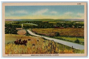 Greetings From Effingham Illinois IL, Road Horseback Riding Scene Postcard
