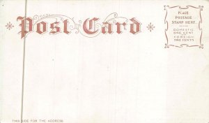 THE CAPITOL WASHINGTON DC LIVINGSTON POSTCARD (c. 1900) !!!!