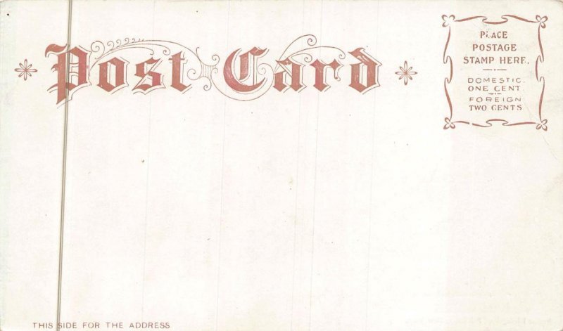 THE CAPITOL WASHINGTON DC LIVINGSTON POSTCARD (c. 1900) !!!!