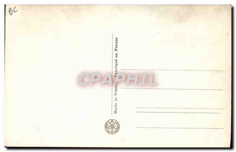 Old Postcard Horse Riding Equestrian Pomare up by Sharpe