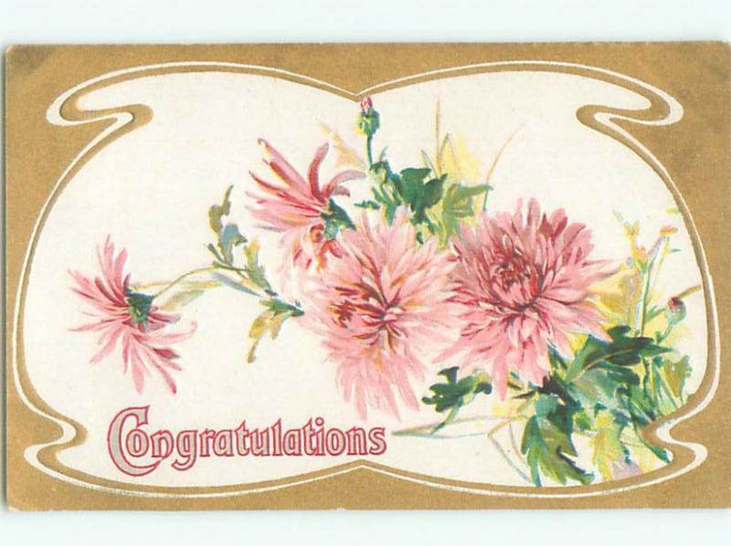 Divided-Back BEAUTIFUL FLOWERS SCENE Great Postcard AA2698