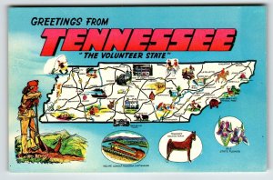 Postcard Greetings From Tennessee Map Chrome Volunteer State Walking Horse Iris