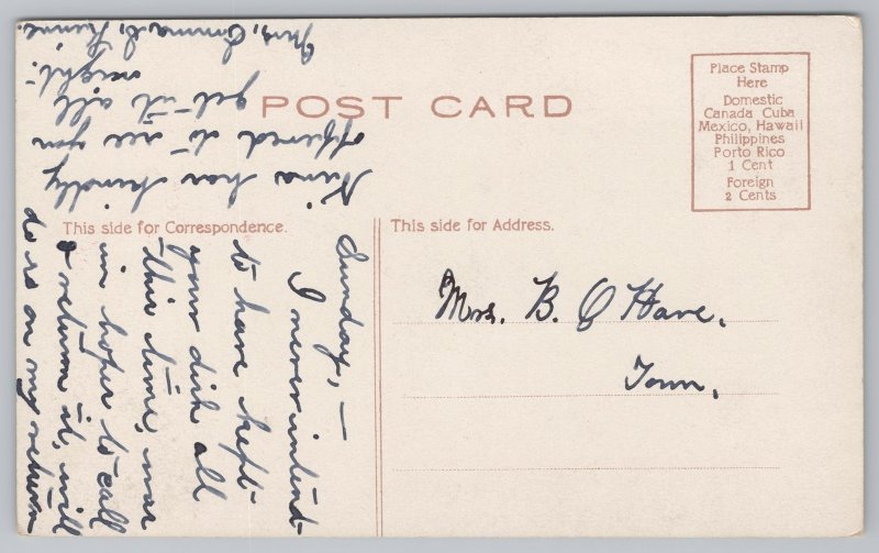 State View~Lake Champlain New Jersey~Ausable Chasm~Vintage Postcard