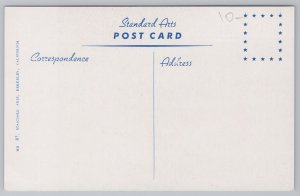 Animal~Collie Dog Posing~Vintage Postcard 