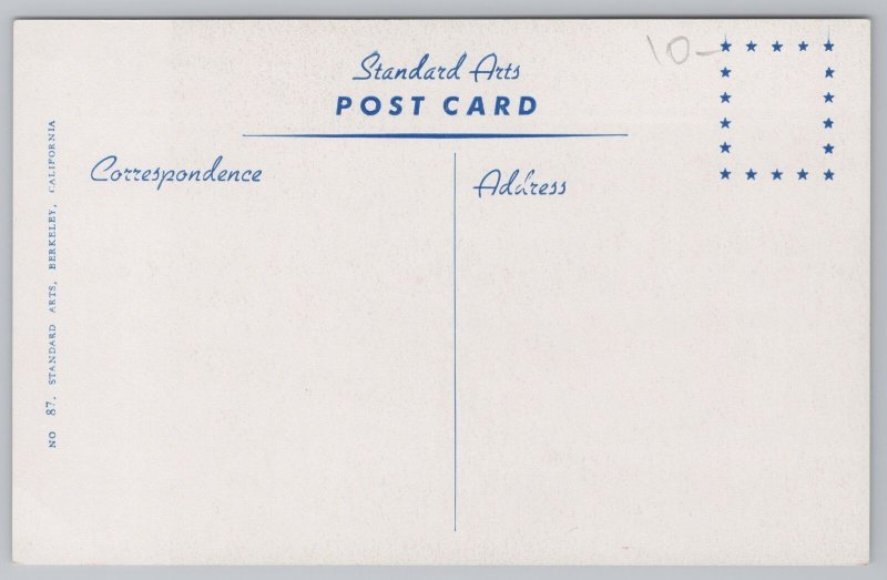 Animal~Collie Dog Posing~Vintage Postcard 