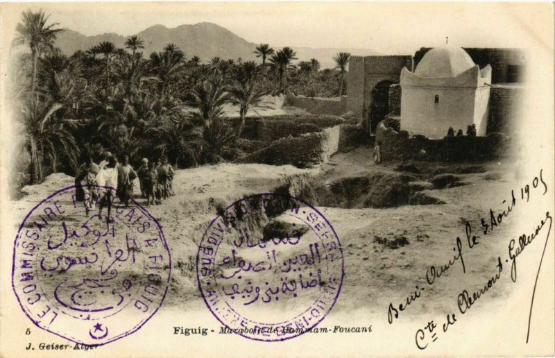 CPA AK Geiser 5 FIGUIG Marabout de HAMMAM Foucani ALGERIA (789652)