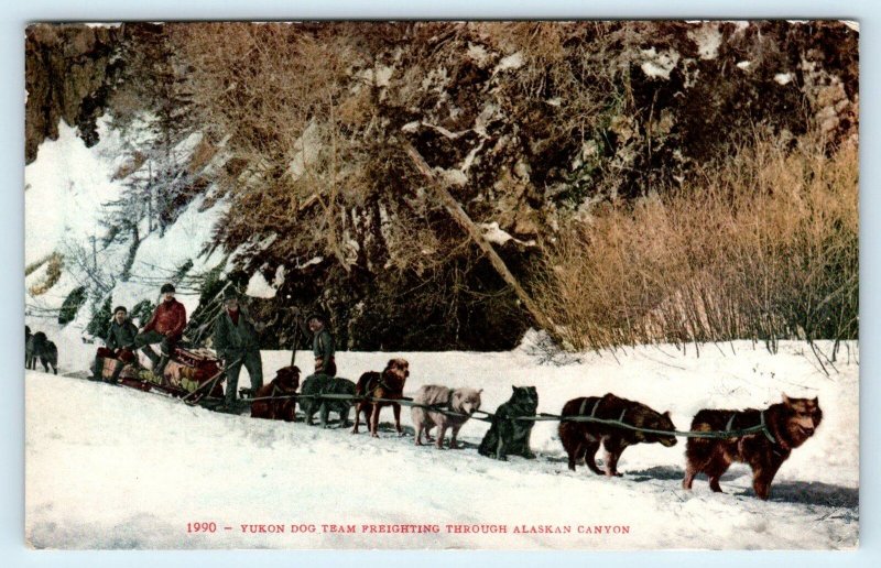 ALASKAN CANYON, Yukon, Canada  DOG TEAM IN SNOW  c1910s Mitchell  Postcard