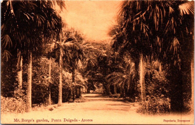 Portugal Mr. Borges Garden Ponta Delgada Azores Vintage Postcard  C009