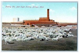 c1910 Feeding Pen Beet Sugar Factory Exterior Billings Montana Vintage Postcard