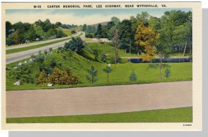 Wytheville, Virginia/VA Postcard, Carter Park, Near Mint!