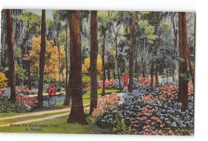 Jacksonville Florida FL Postcard 1951 Oriental Gardens Hydrangeas