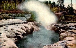 WY - Yellowstone Nat'l Park. Oblong Geyser