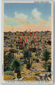 c1940s Carlsbad Cavern Park, NM Ocotillo Desert Linen PC Kennicott Photo A327