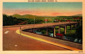 Virginia Roanoke New Wasena Bridge