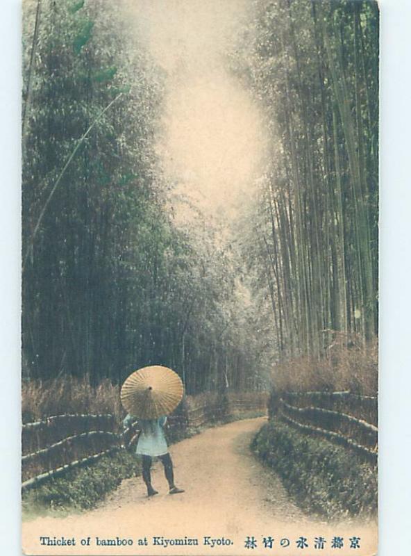 Old Postcard WALKING WITH UMBRELLA IN THICKET OF BAMBOO TREES Kyoto Japan F4965