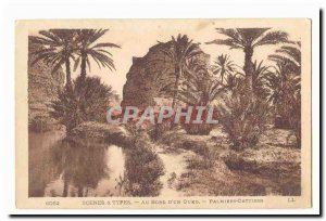 Morocco Old Postcard On board & # 39un wadi date palms Palms