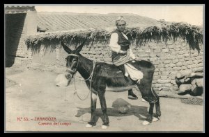 Spain Zaragpza Vintage postcard Man on donkey Unused