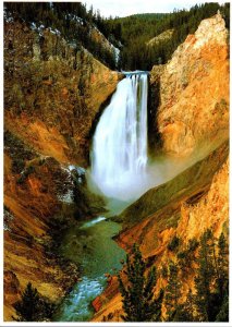 Yellowstone National Park Lower Falls