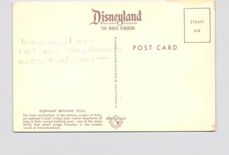 VINTAGE POSTCARD DISNEYLAND ADVENTURELAND ELEPHANT BATHING POOL