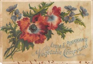Approx. Size: 2.75 x 4 Lydia E. Pinkhams vegetable compound  Late 1800's Trad...
