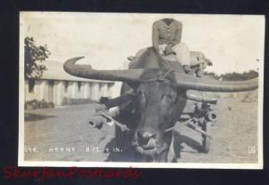 RPPC LONGHORN CATTLE COW OXEN LARGE HORNS PHILIPPINES REAL PHOTO POSTCARD