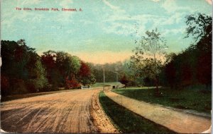 VINTAGE POSTCARD THE DRIVE BROOKSIDE PARK CLEVELAND OHIO MAILED 1913