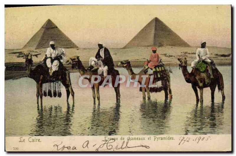 Postcard Ancient Egypt Egypt Cairo troop of camels and pyramids