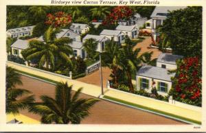 Florida Key West Birds Eye View Cactus Terrace