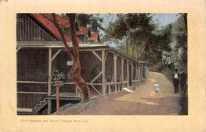 FITCH MOUNTAIN & TAVERN Russian River, CA Healdsburg c1910s Vintage Postcard 