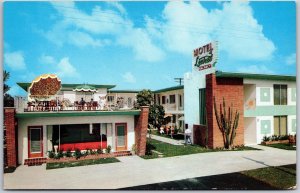Miami Florida FL, Motel Laurel, Cactus and Pastel Walls, Roadside, Postcard