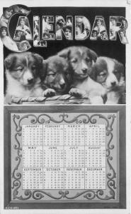 1908 Cute Calendar of Puppies multi View RPPC real photo postcard 1881
