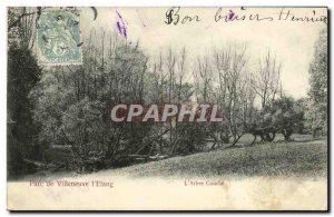 Old Postcard Villeneuve Park L Etang The Layer Tree