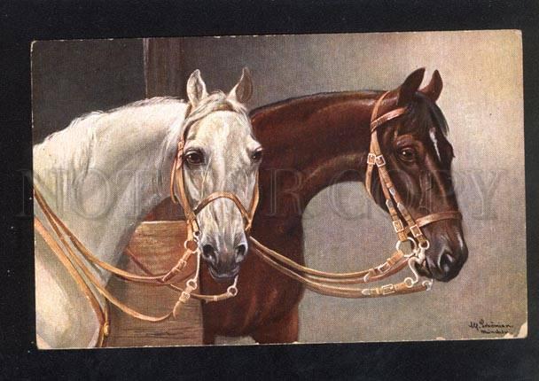 033114 Head of HORSES in Stable. By SCHONIAN vintage PC